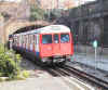 C Stock at S Ken WB.JPG (34499 bytes)