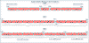 District Train formations.gif (9706 bytes)
