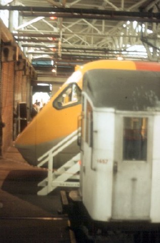 Photograph