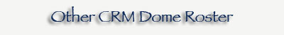 CRM others