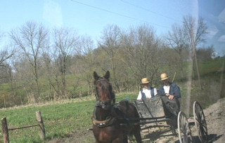 206%20Bustrip%20Amish%20buggy.jpg