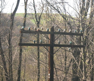 431%20Pole%20Insulators.jpg