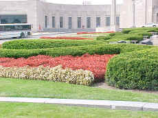 Manicured gardens