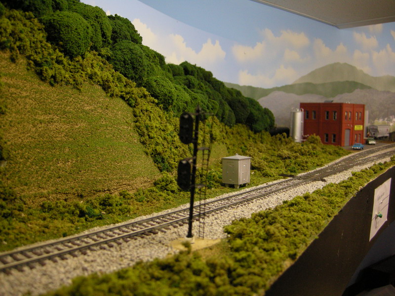 DSCN9763.JPG