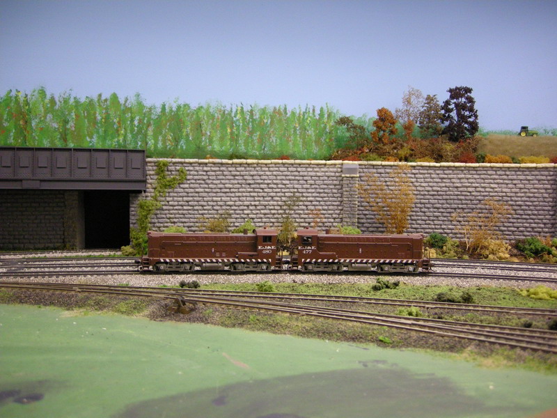 DSCN9987.JPG